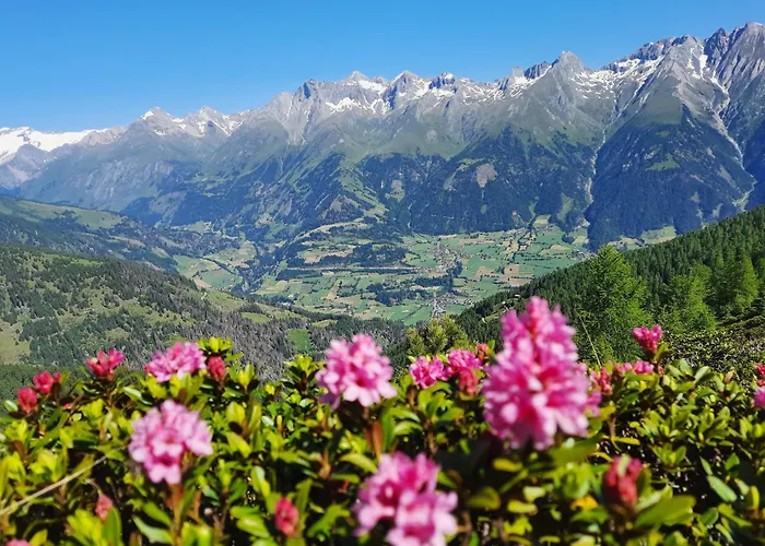 Appartement Berger *